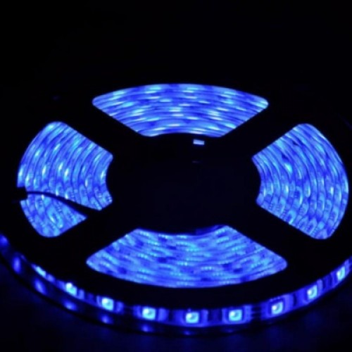 Лента светодиодная 60LED 4.8Вт/м 12В IP65 синяя