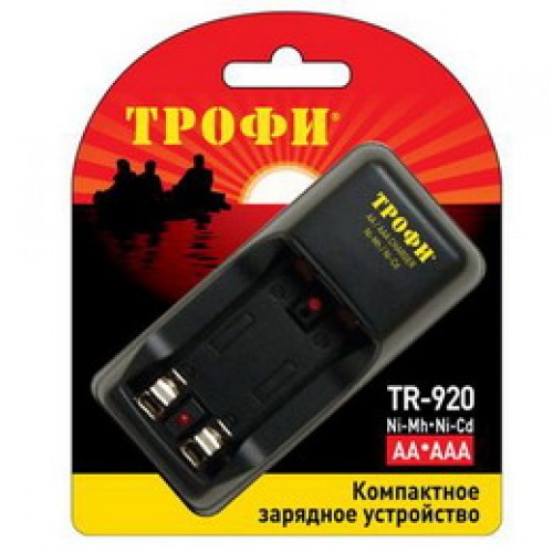 Зарядное устройство ТРОФИ TR-920